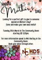 Pupils Mother's Day wax melts